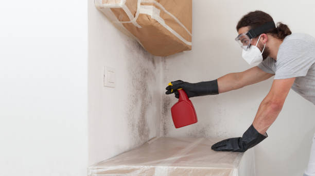 Professional Bathroom Mold Removal technician working in Lexington, MI