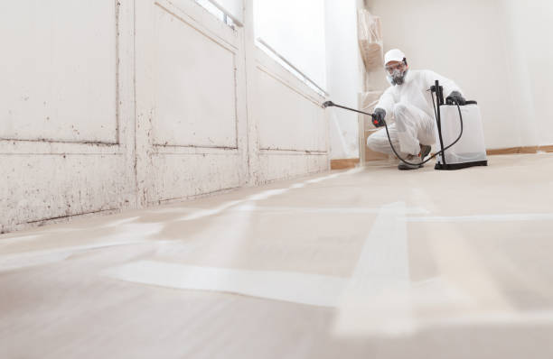 24/7 Emergency Bathroom Mold Removal experts in Lexington, MI