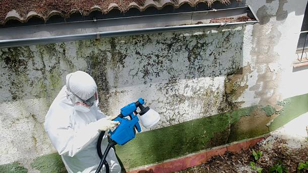 Top rated local Bathroom Mold Removal specialists in Lexington, MI